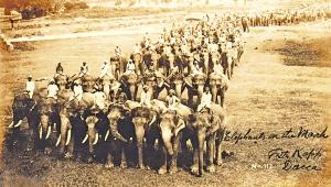 Pilkhana elephant depot history