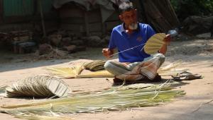 palm fan of chadshi village_2de4.jpg