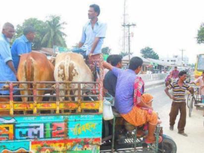 improvised_three-wheelers.jpg