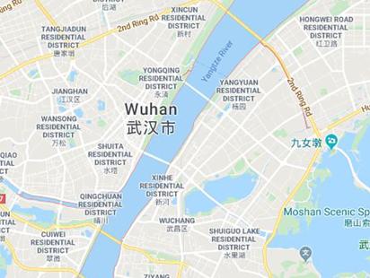 Novel Corona Virus.JPG