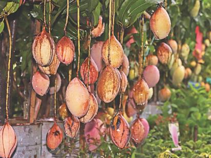 Tree Fair1.jpg