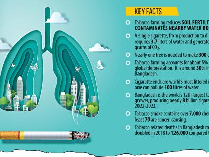 Bangladesh's tobacco production per hectare