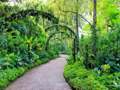jamalpur_garden.jpeg
