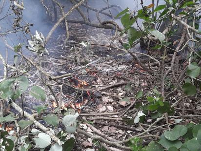 sundarbans_fire_2.jpg
