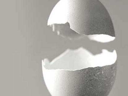 Egg