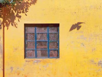 Shutter