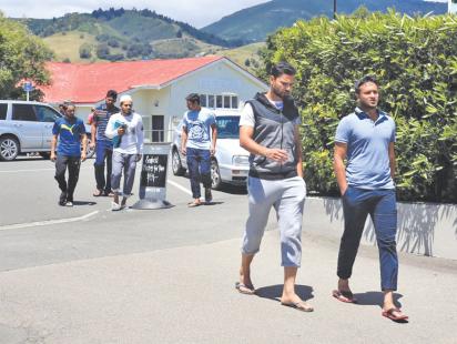 tigers in nelson.jpg