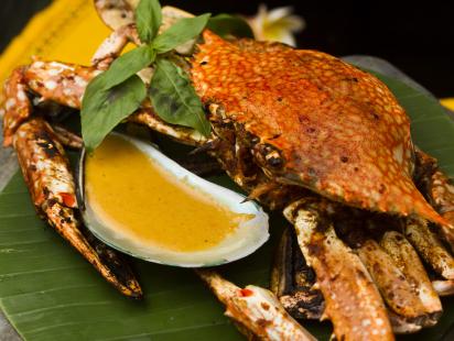 The Spoils of the Sea