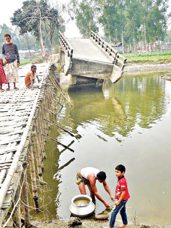 bridge with bamboo