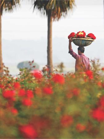 A trip to Golap Graam