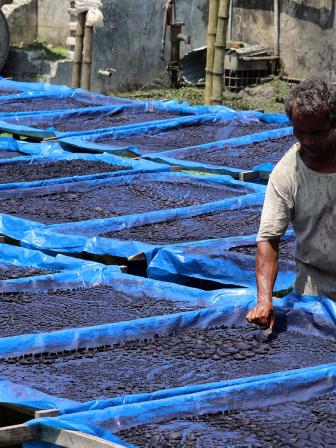 color making factory 1.jpg