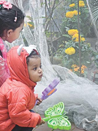 day with butterflies.jpg