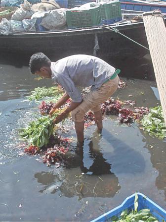 formalin in food items.jpg