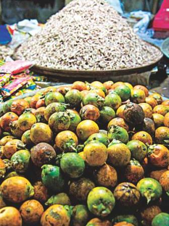 FOR THE LOVE OF AGRO FARMING