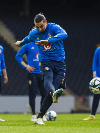 ibra1.jpg
