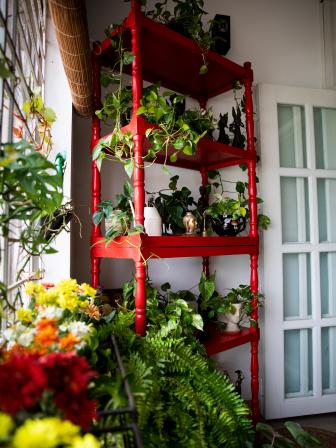 Cleanliness should be your mantra