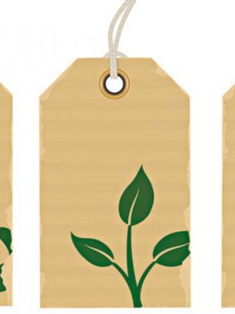 Reducing CO2 emissions in RMG factories.jpg