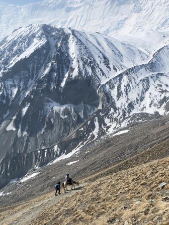 Footsteps to heaven: Embarking on the ethereal Mardi Himal Trek in Nepal