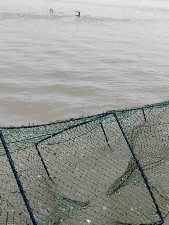 banned-fishing-traps.jpg