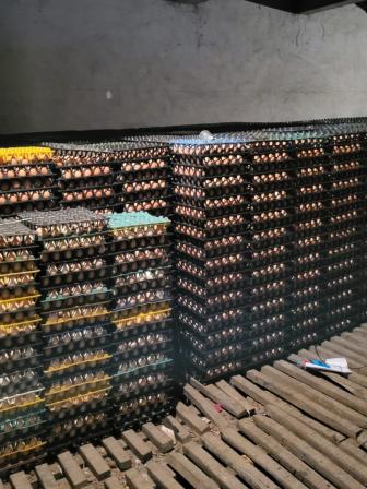 reasons behind egg price hike