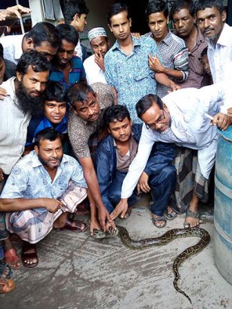 Bagerhat Python 1.jpg