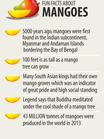 Mango4.jpg