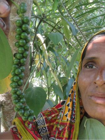 Shahiron Begum 2.jpg