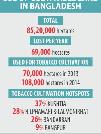 tobacco22.jpg