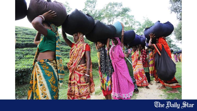 O Tea Worker An autopsy of the tea workers’ bizarre wage structure | The Daily Star