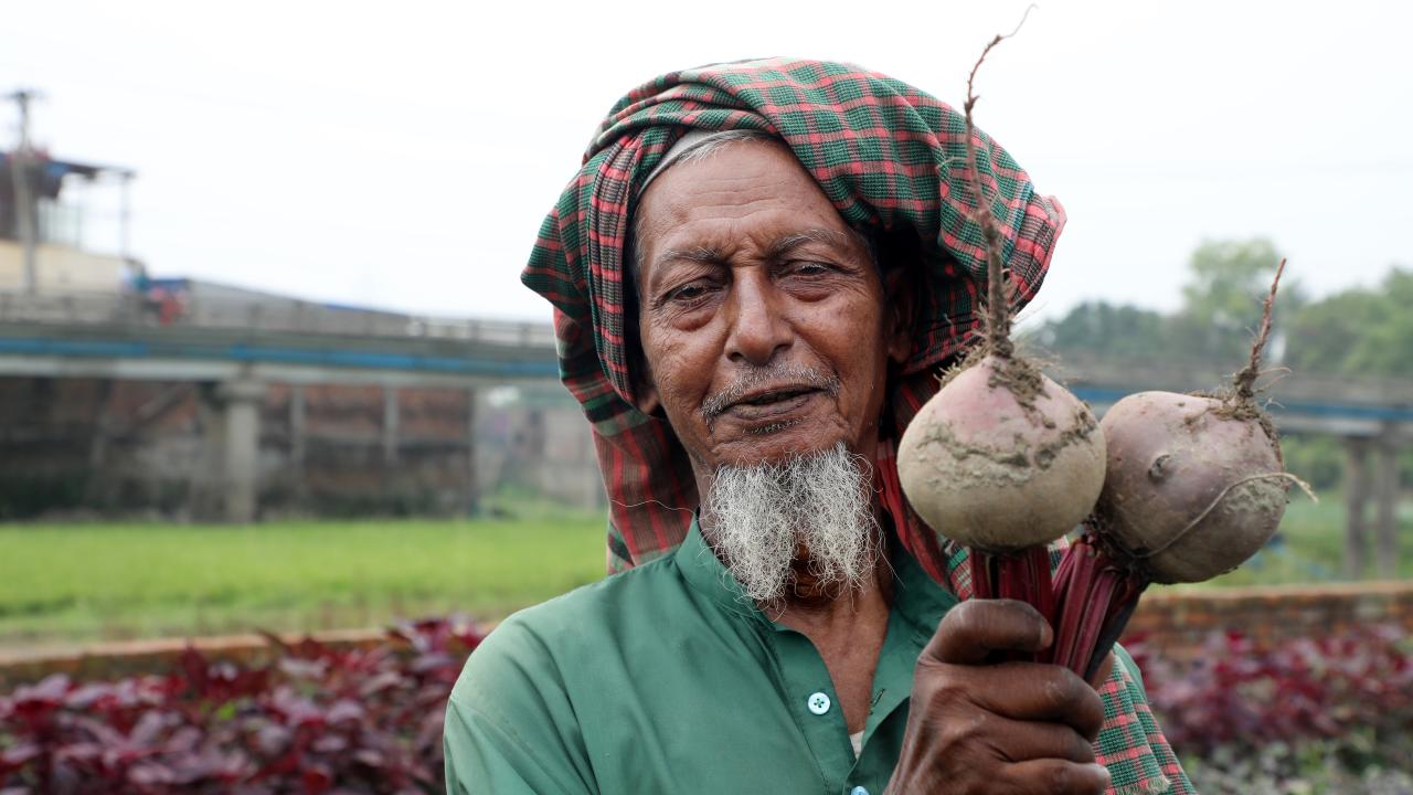 _chinese_vegetable_farming_mushurikhola_savar_photo_by_palash_khan_0050.jpg