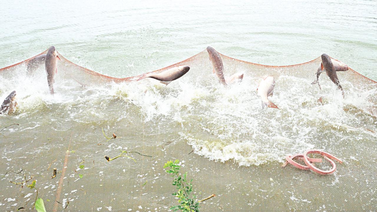 rajshahi5.jpg