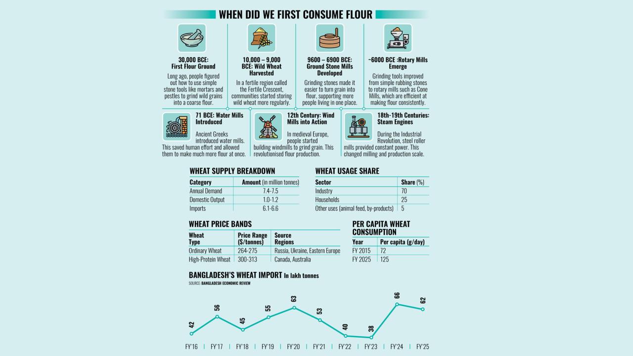 flour-report.jpg