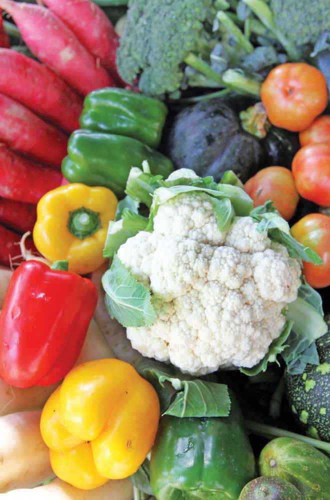 veg_3.jpg